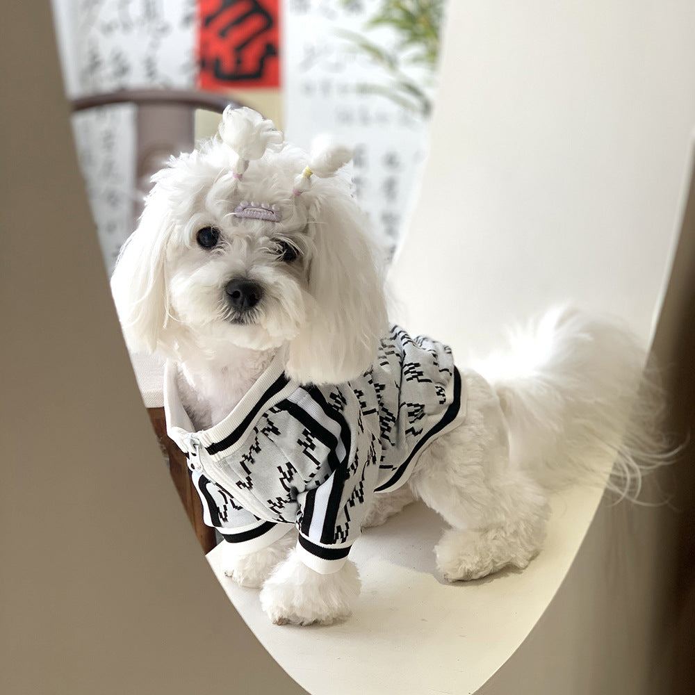 The Perfect Companion for Chilly Days: Autumn And Winter Teddy Pet Jacket
